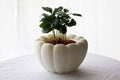 Iap Airy Table Planter