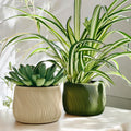 Dolce | Indoor Planter