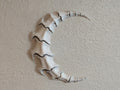 Eldritch Moon Wall Mount