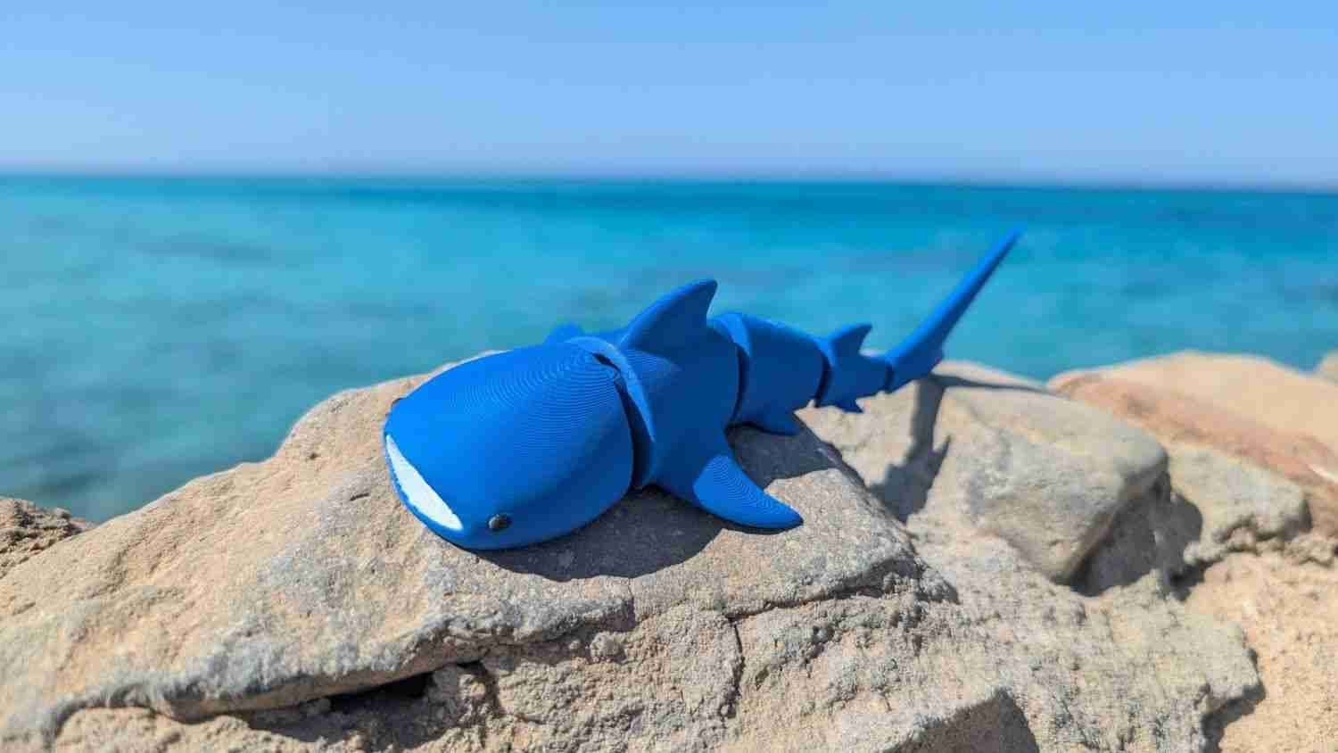 Whale Shark Articualted Figure