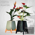 Freya | Standing Planter Pot