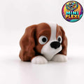 Flexi Dog Cavalier King Charles Spaniel