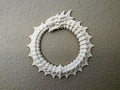 Bone Dragon Ouroboros Dark Wall Decor