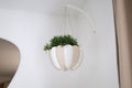 Iap Airy Hanging Planter