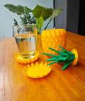 Pineapple Coasters