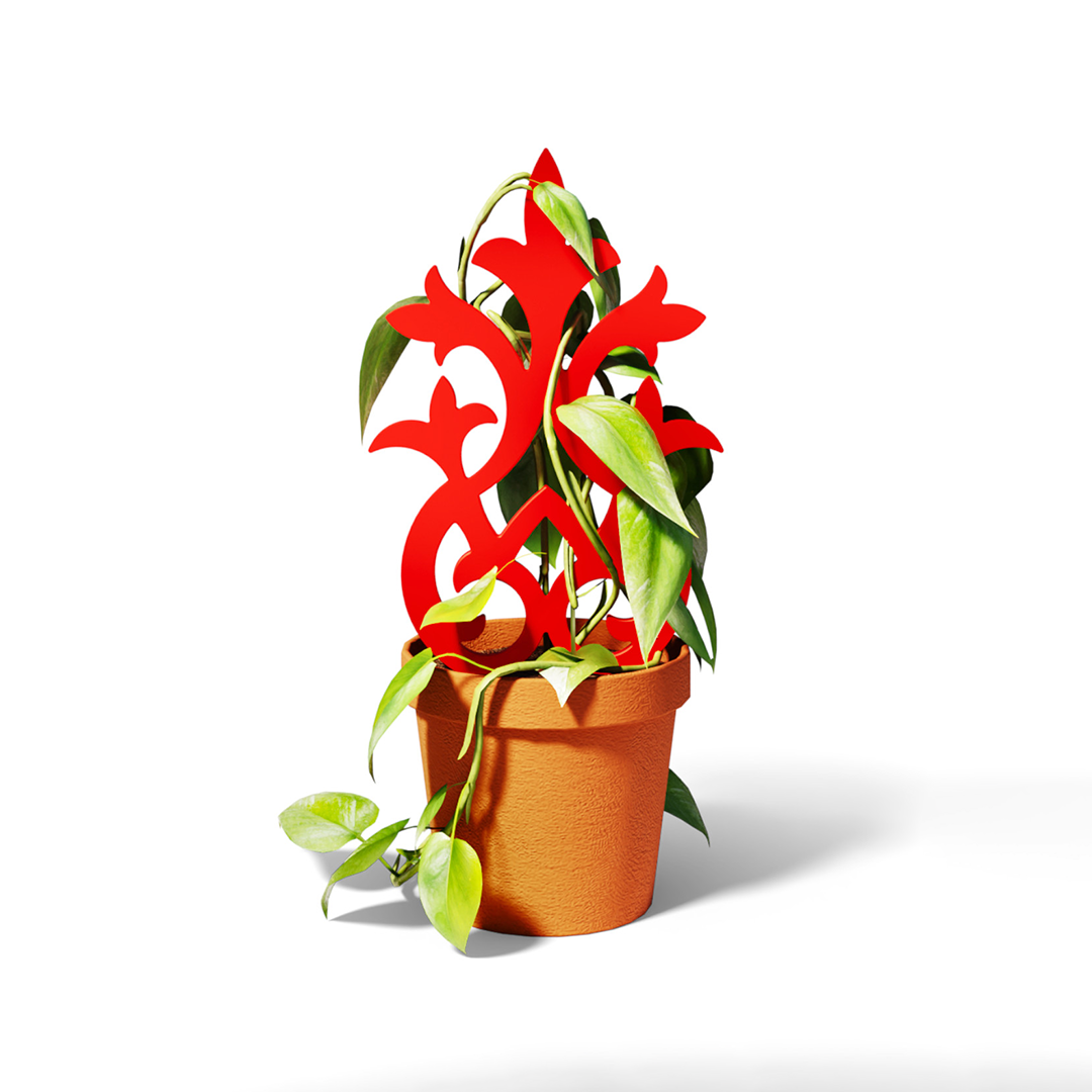 Plant Trellis #1