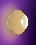 Sol Wall Lamp