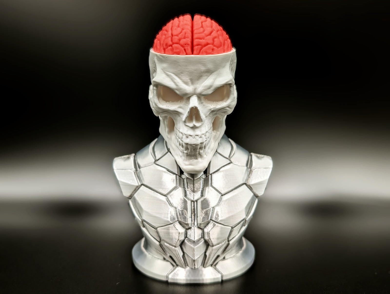Craniumortis No Ams / Multi Part Bust