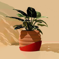 Hive Planter Pot