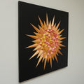 Star Sun