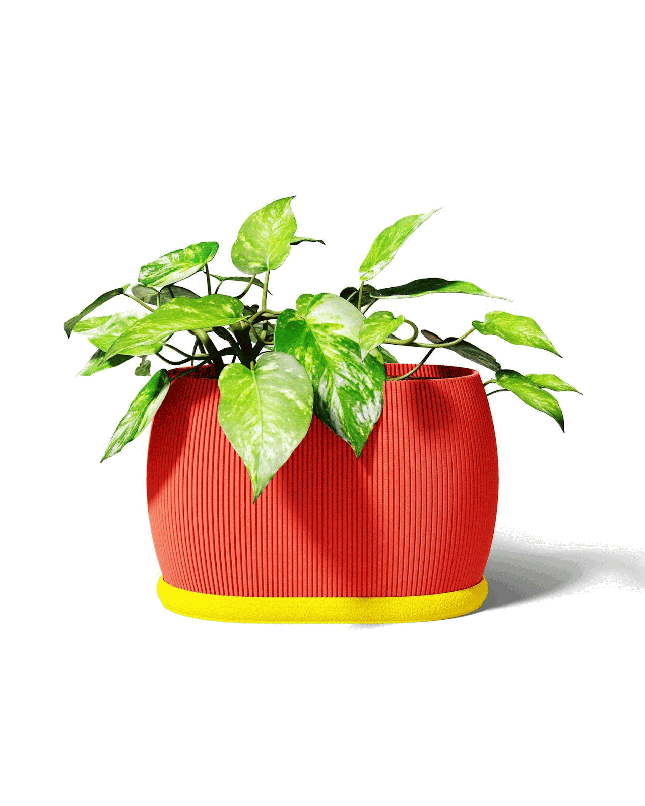 Barrel Planter