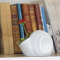 Natica Vase