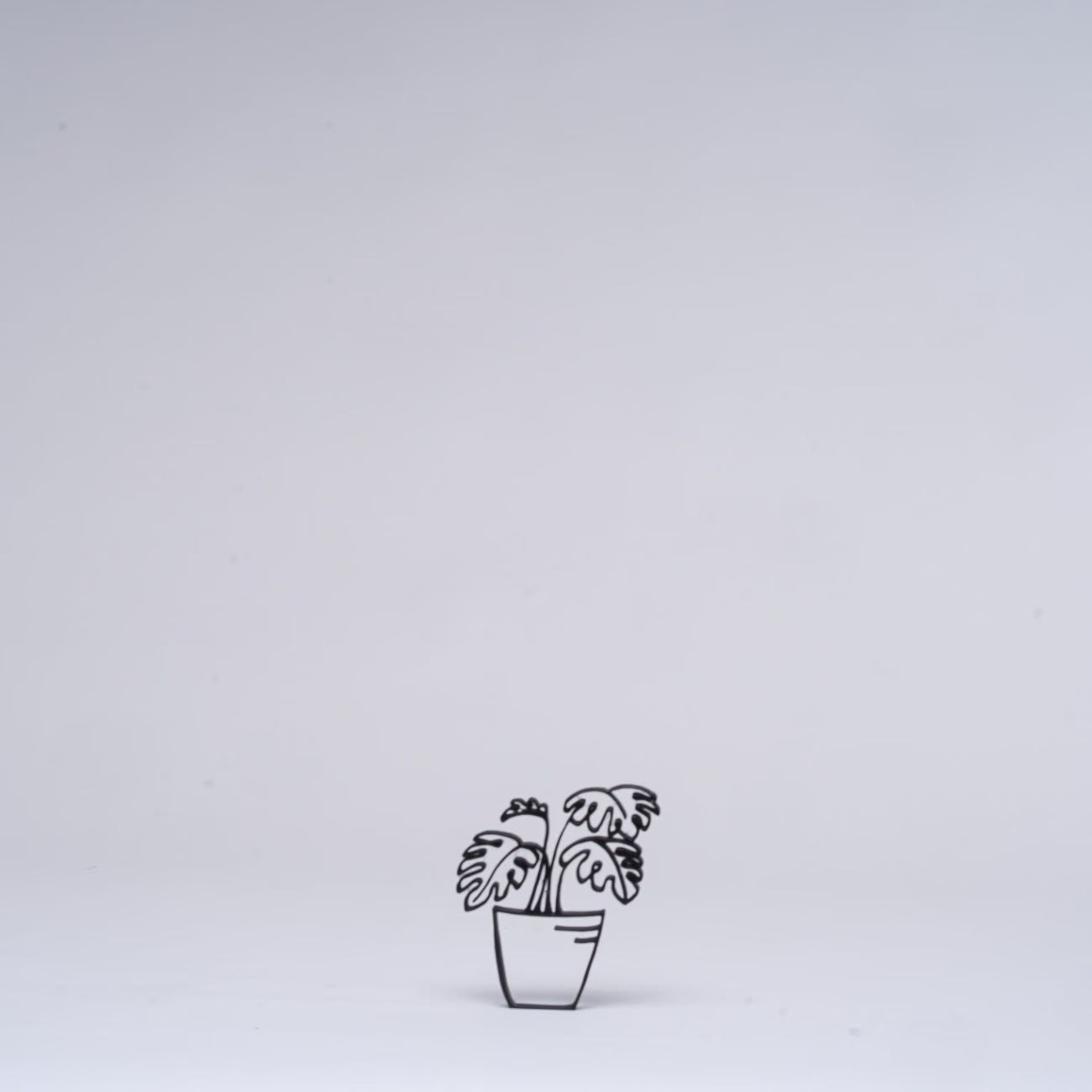Monstera Houseplant